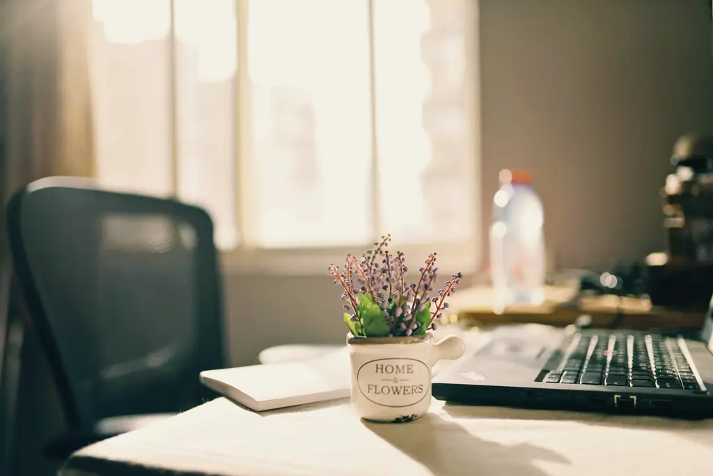 室內設計一坪費用：打造理想居住空間的價格指南